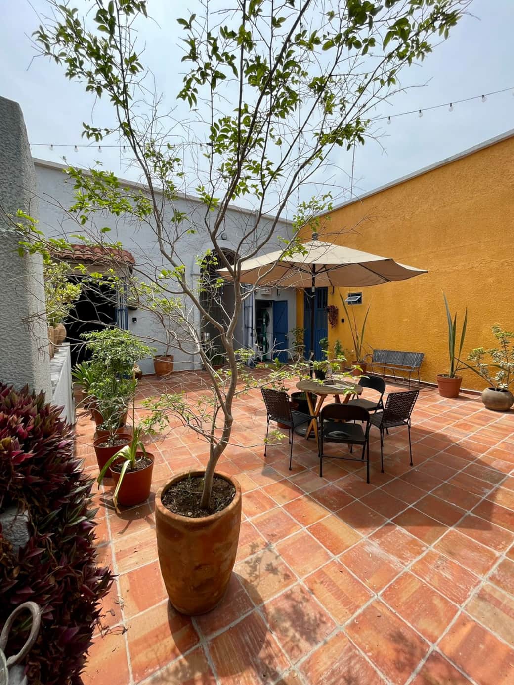 Casa Arrayan Patio Casa Arrayan Patio
