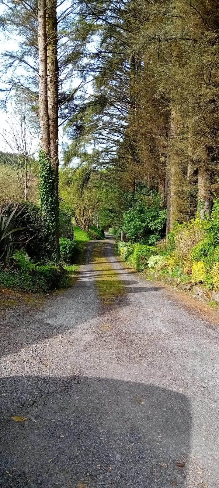 Drive to the cottage