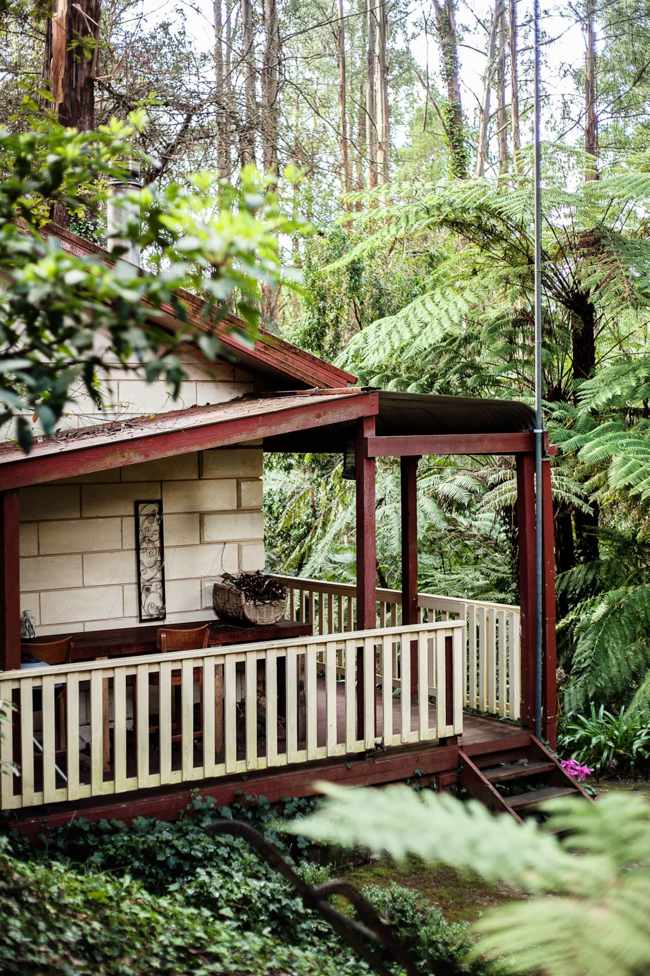 A leafy paradise
