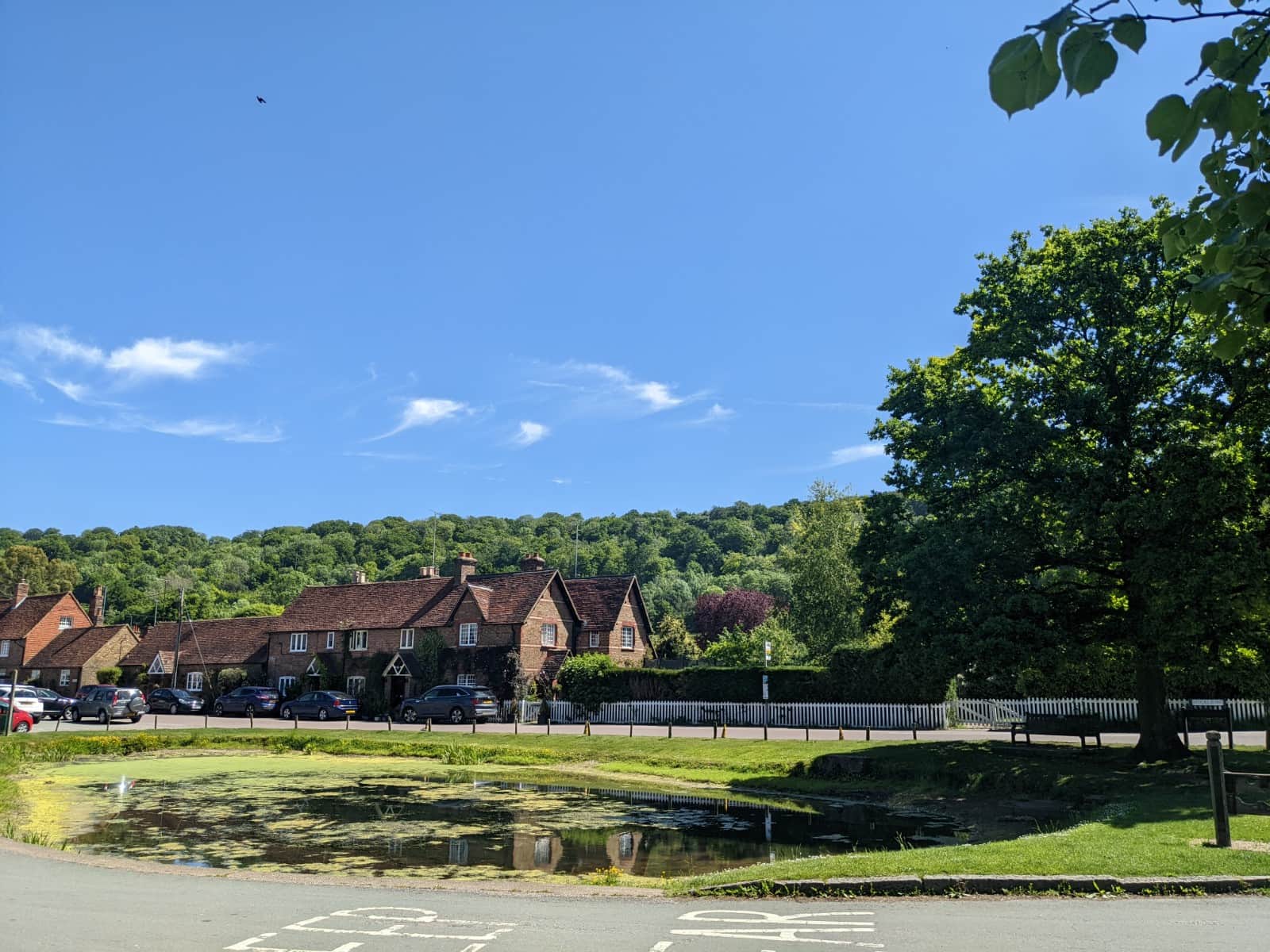 The Village Pond