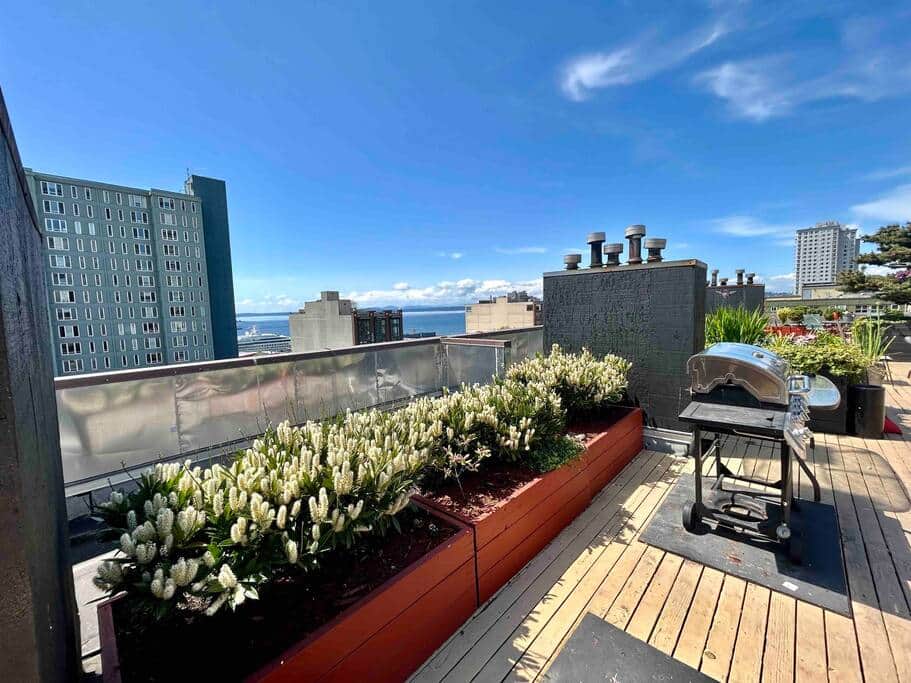 Roof Top Balcony Roof Top Balcony