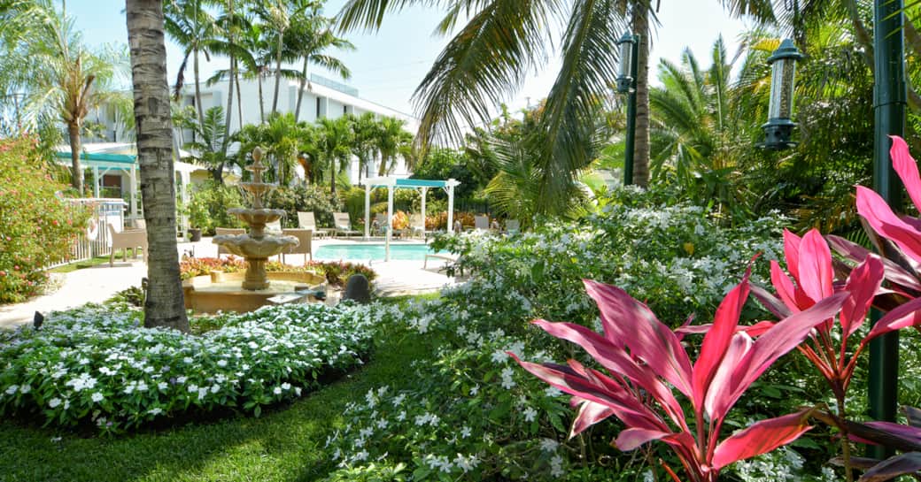 Pool & Flower Gardens Pool & Flower Gardens