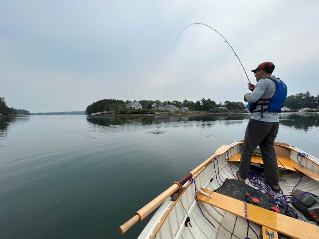 Striped bass fishing