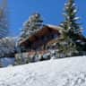 Rental image