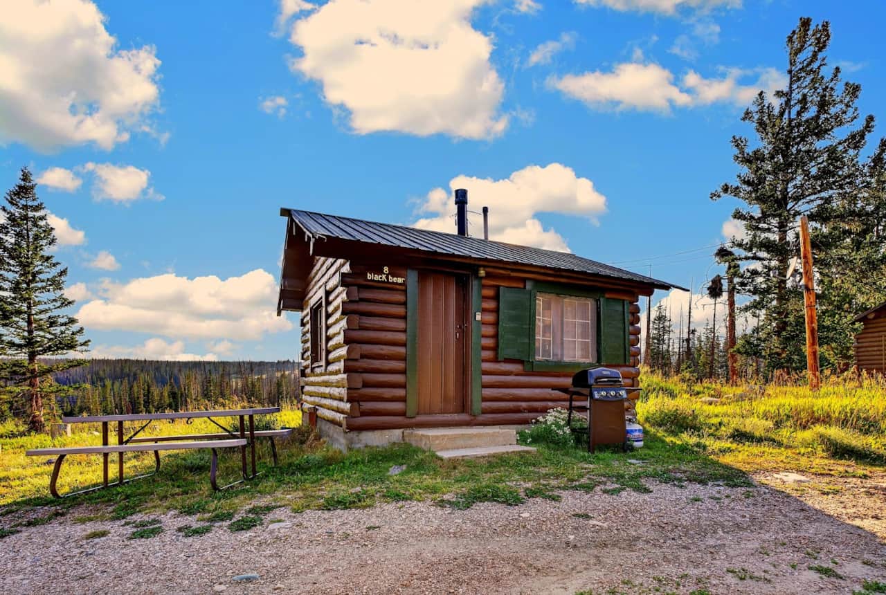 Cabin 8