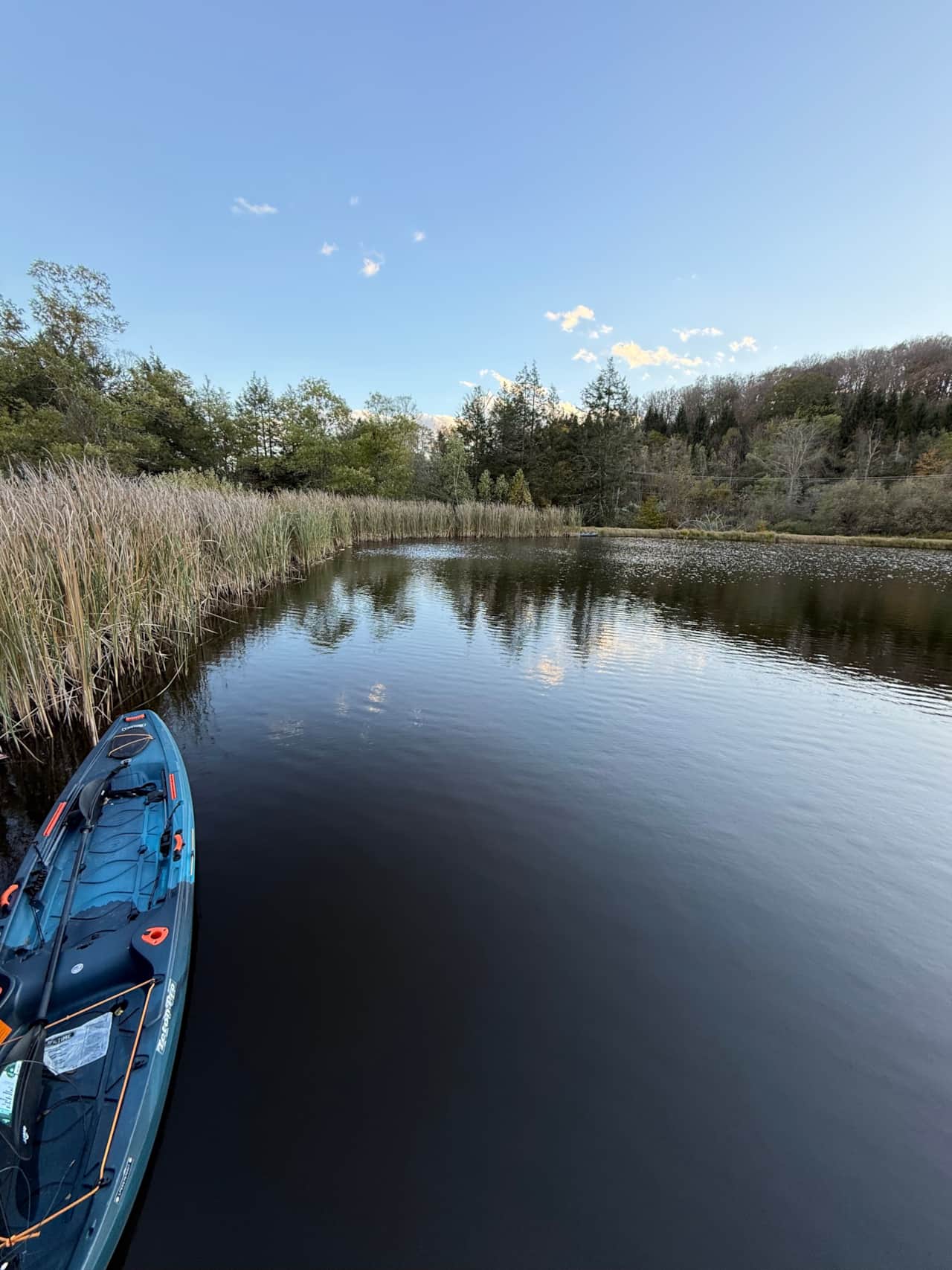 Private pond for kayaking, fishing, and peaceful mornings surrounded by nature