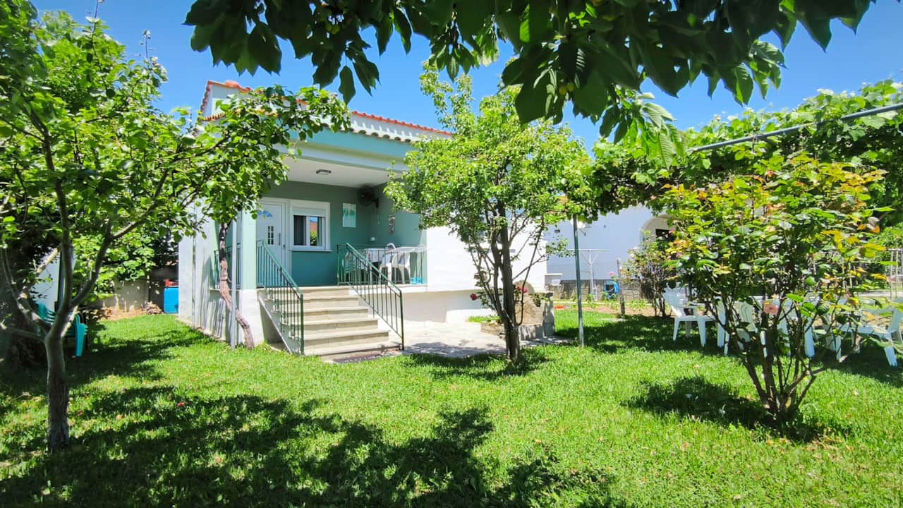 Green House Myrodato Beach04