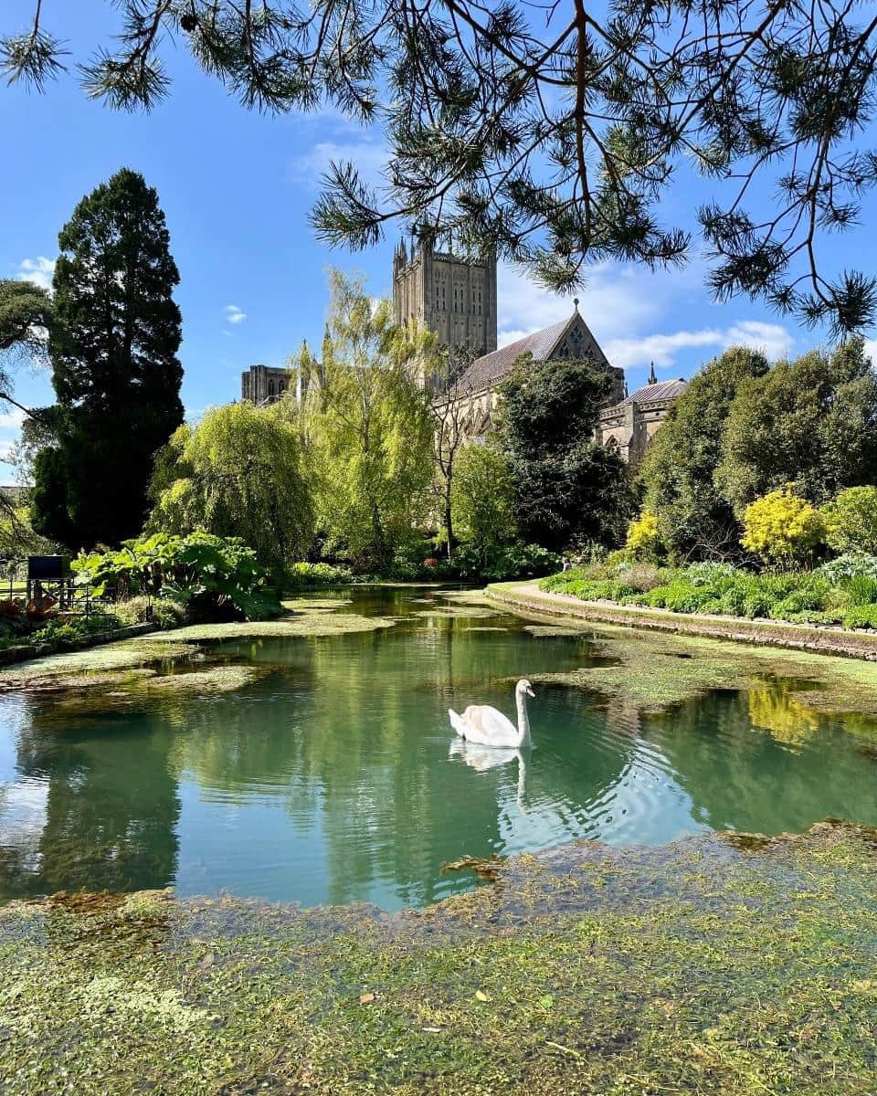 Bishops Palace Gardens Wells