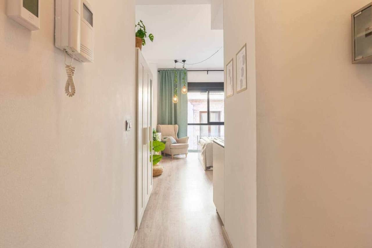 View from the hallway leading into the studio apartment.