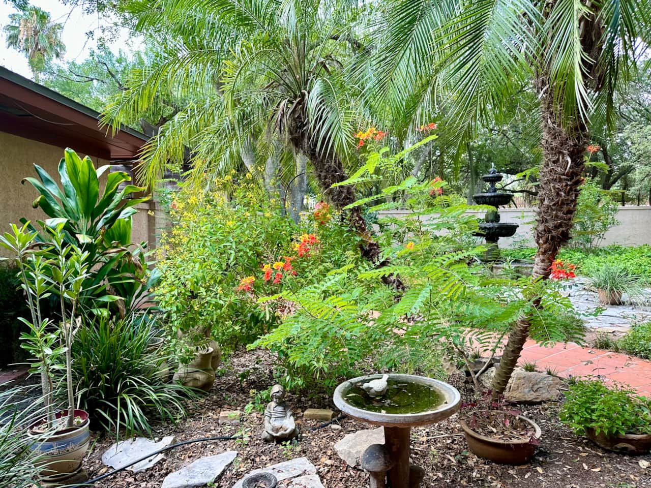 Birding sanctuary right outside your kitchen window!