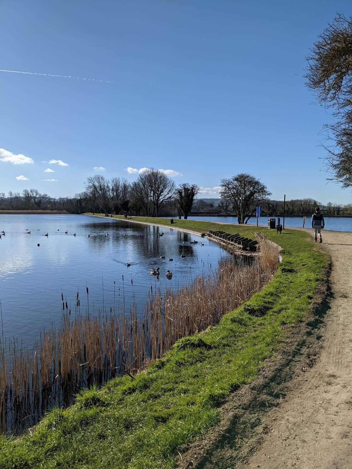 Tring Park