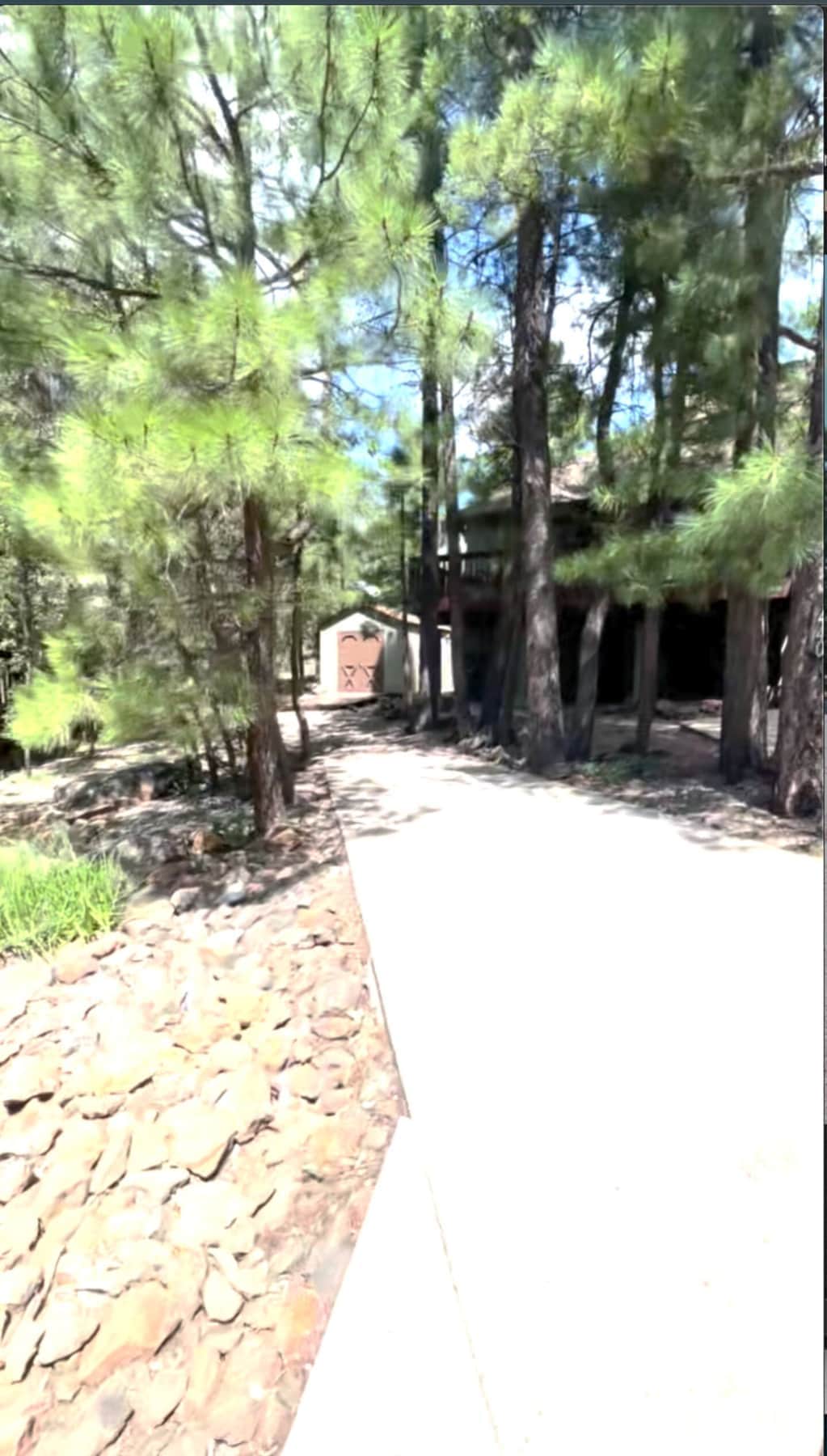 Forest pathway leading to private dog-friendly cabin