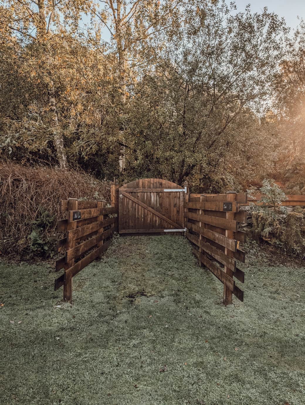 1000005504 1000005504