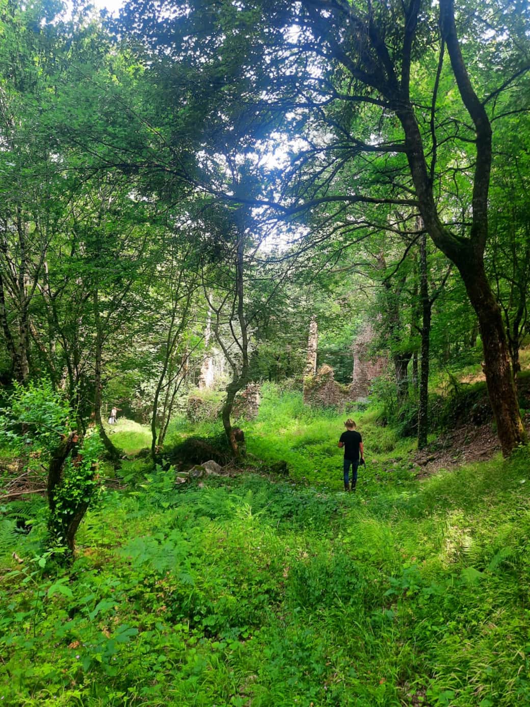 25cfc8df 3440 418a b829 dcc68daa4162