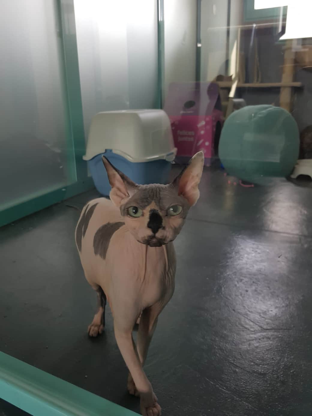 19fe98d9-ae3b-428c-8233-72d29d01540b 3 19fe98d9-ae3b-428c-8233-72d29d01540b 3