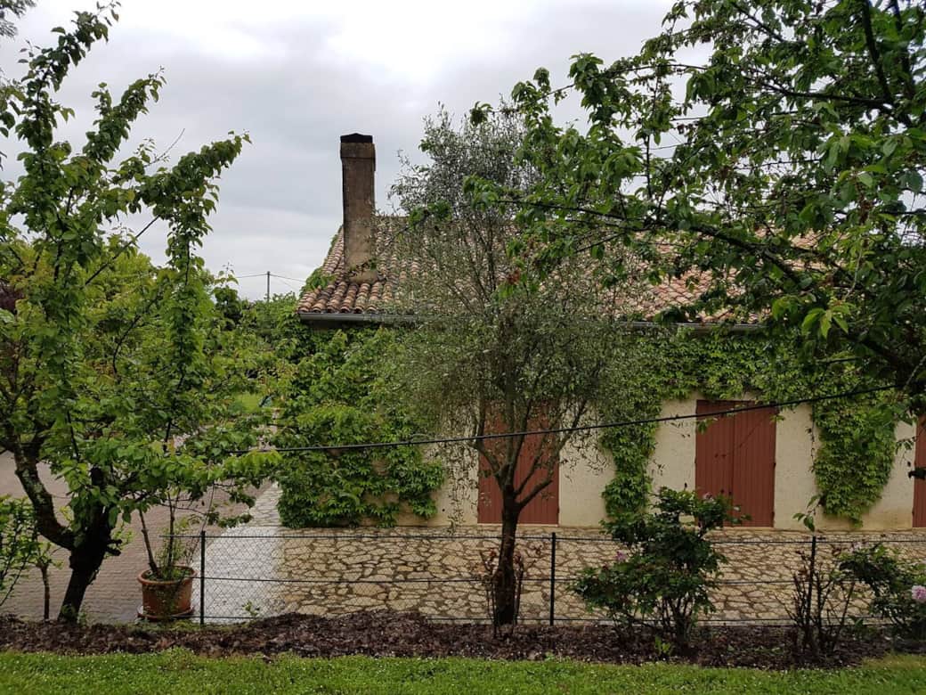 The large garden with various fruit trees is well maintained by a local gardener The large garden with various fruit trees is well maintained by a local gardener