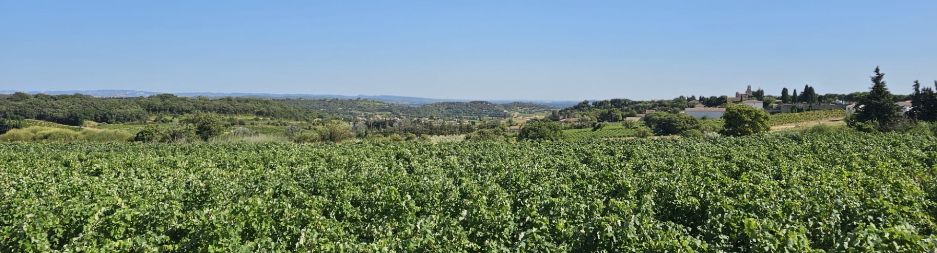 Vue panoramique des gîtes