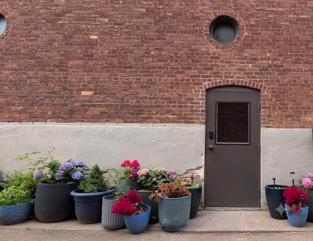 Colorful urban gardens at your door