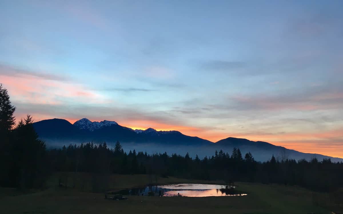 Olympic view cottage