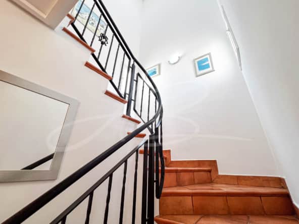 LPXeucalipto15 mm1075 05 592x444