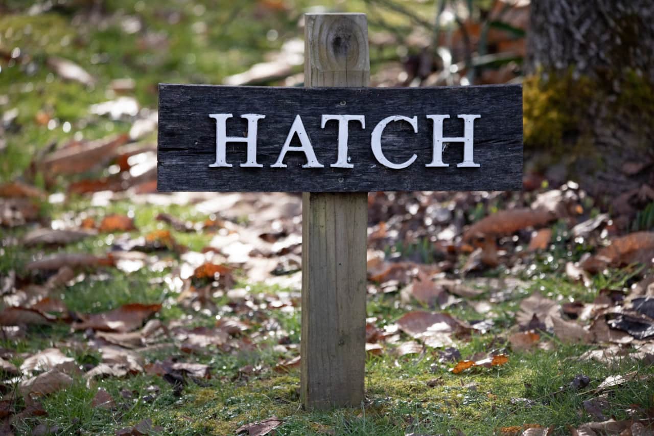 Hatch Sign Detail_Hatch