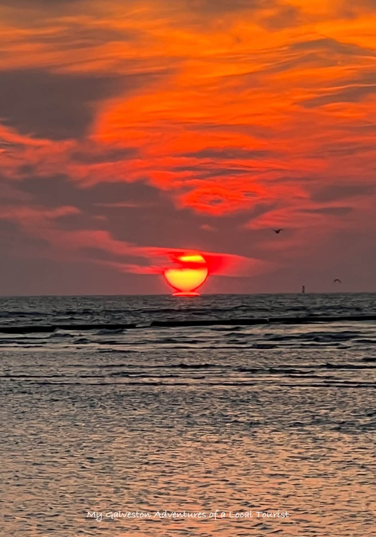 east-beach-sunrise-by-kelly-chapman