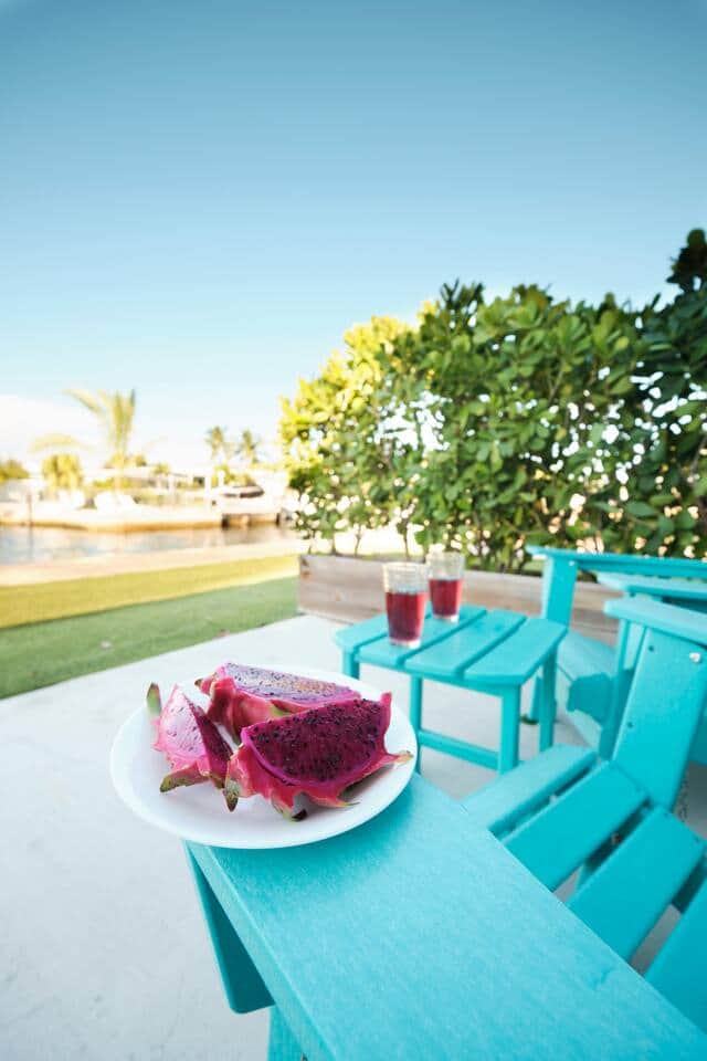 Canal-Side Dining: Fresh Dragon Fruit and Refreshing Drinks - Indulge in vibrant tropical flavors while taking in the peaceful canal view from the patio.