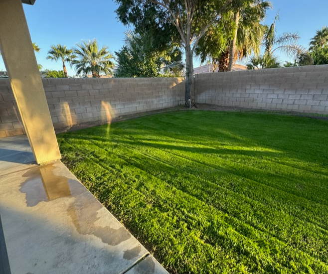 Spacious backyard lawn, fully fenced