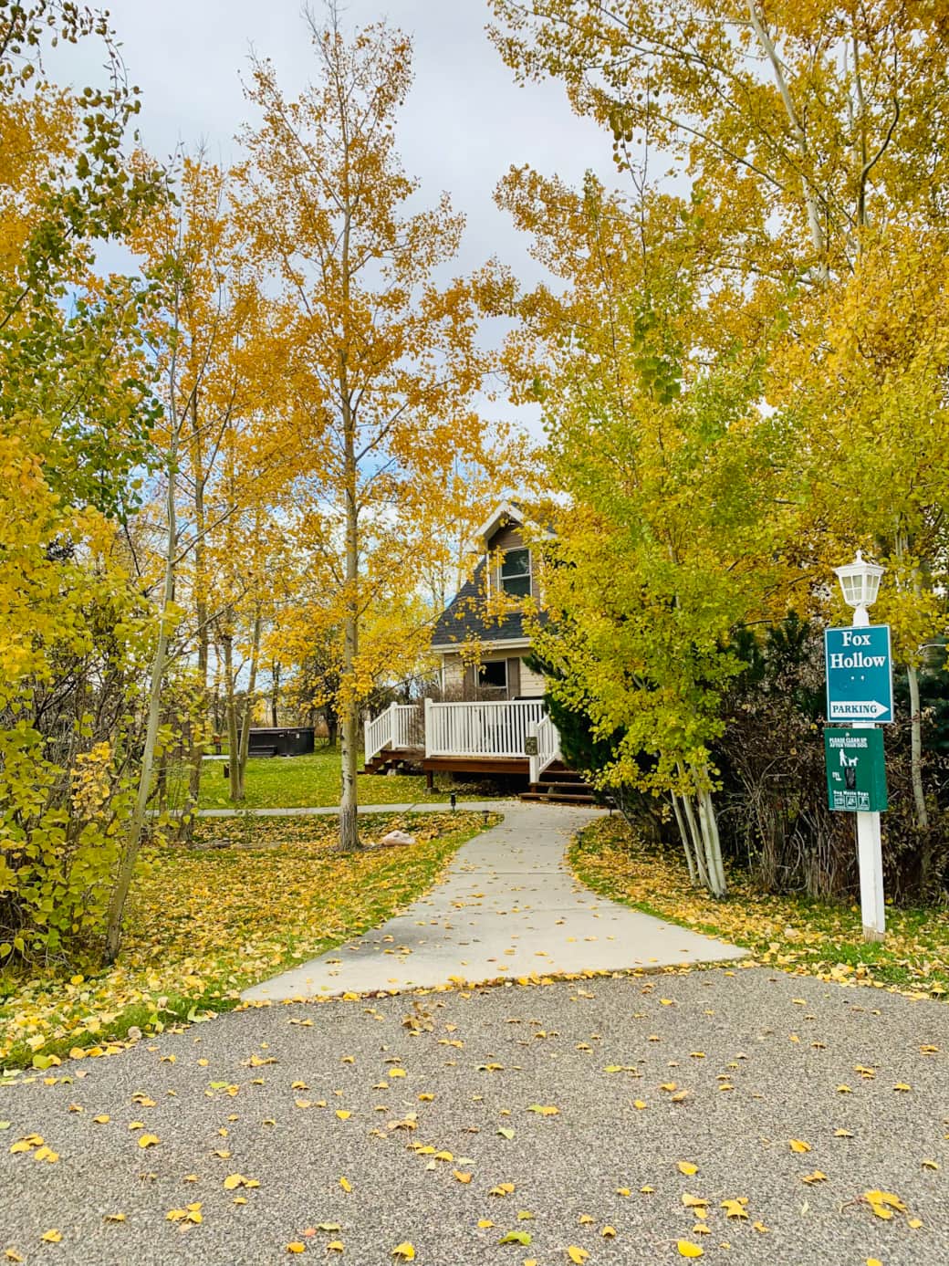 Spacious guest house through the aspen trees