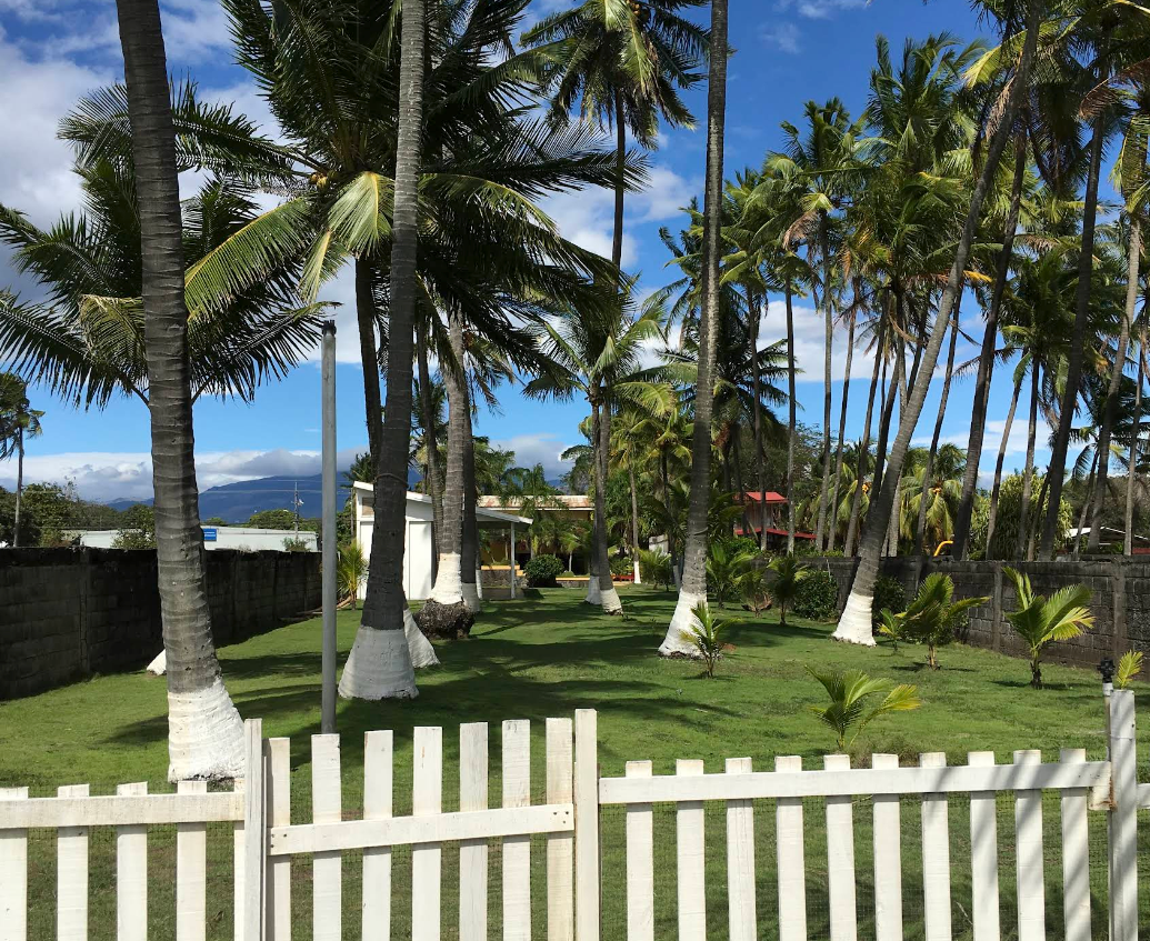 Garden before bungalows