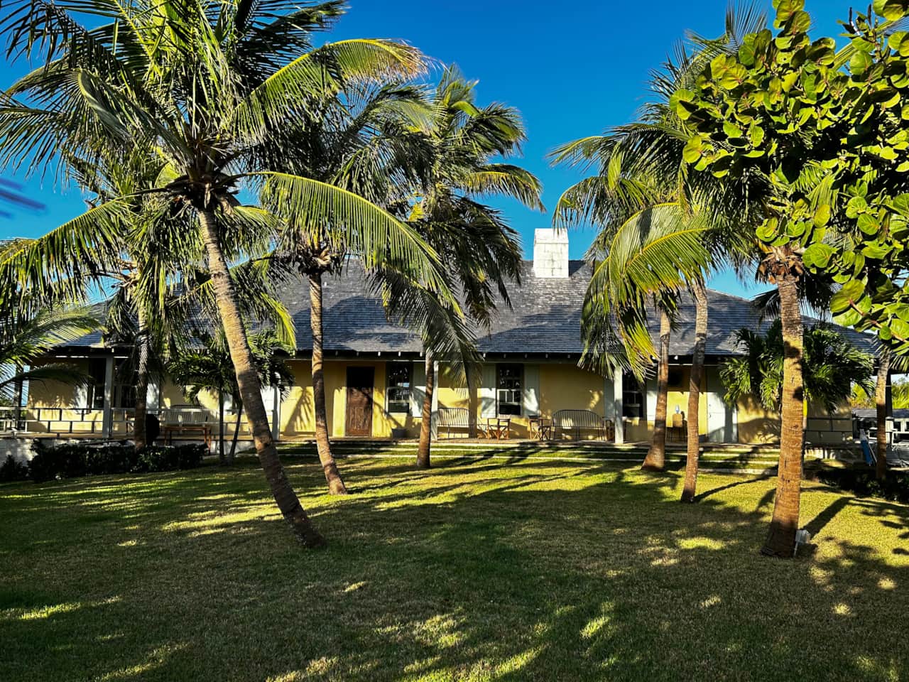Garden Area 
