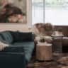 Rental image