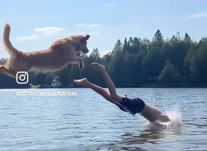 CozyCottages Instagram Reel