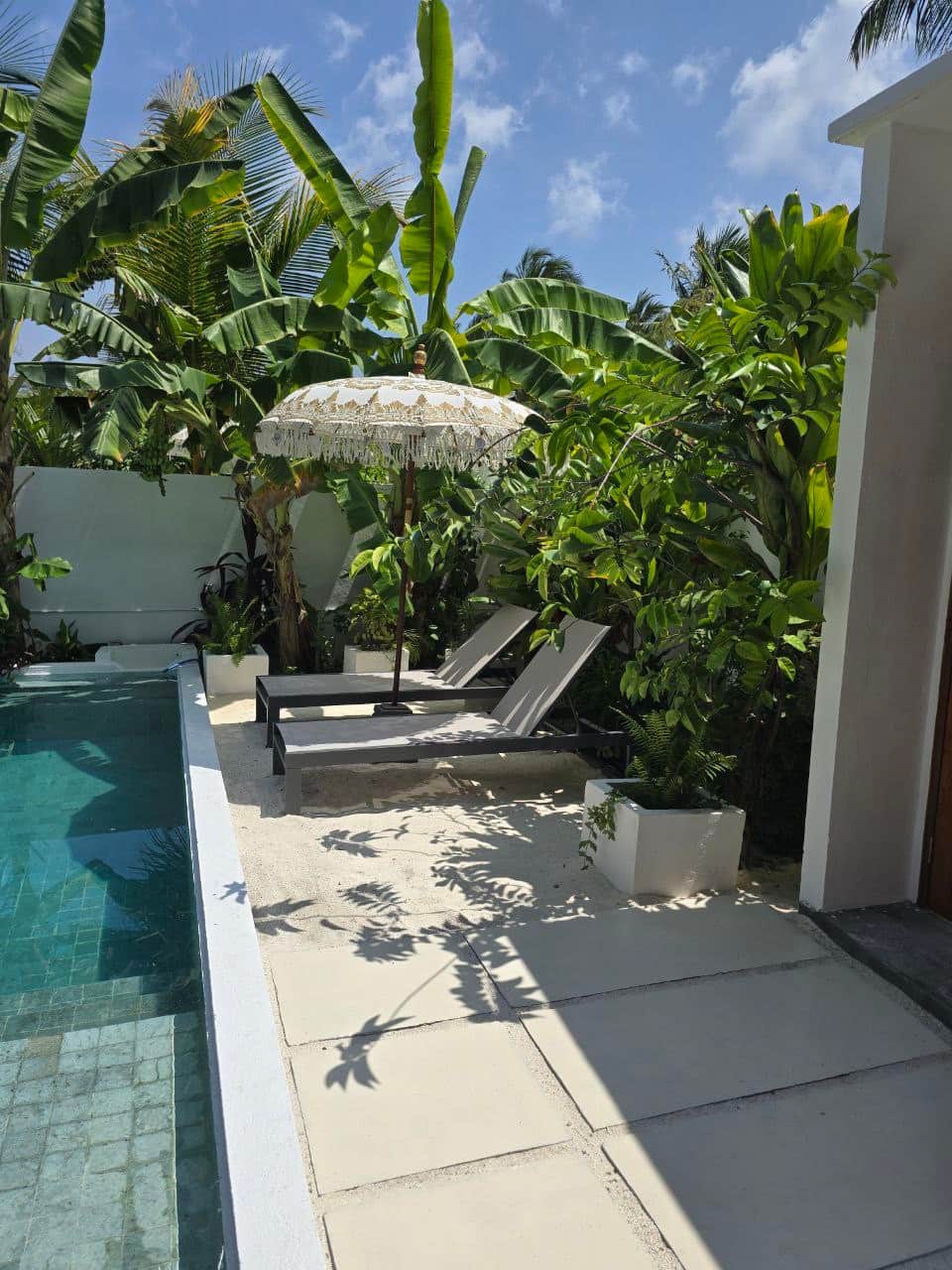 Sun loungers Sun loungers