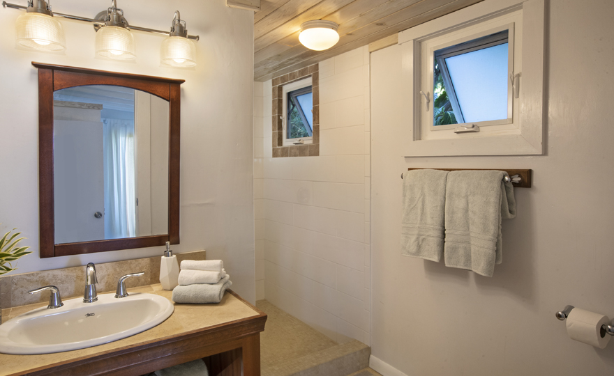 Lower Level Bathroom