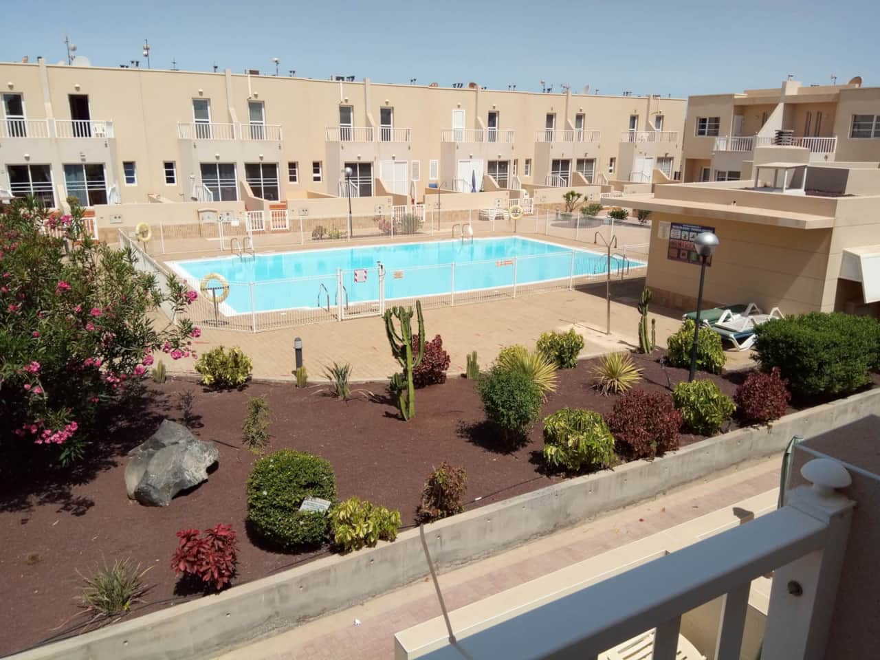 Communal swimming pool surrounded by tropical gardens