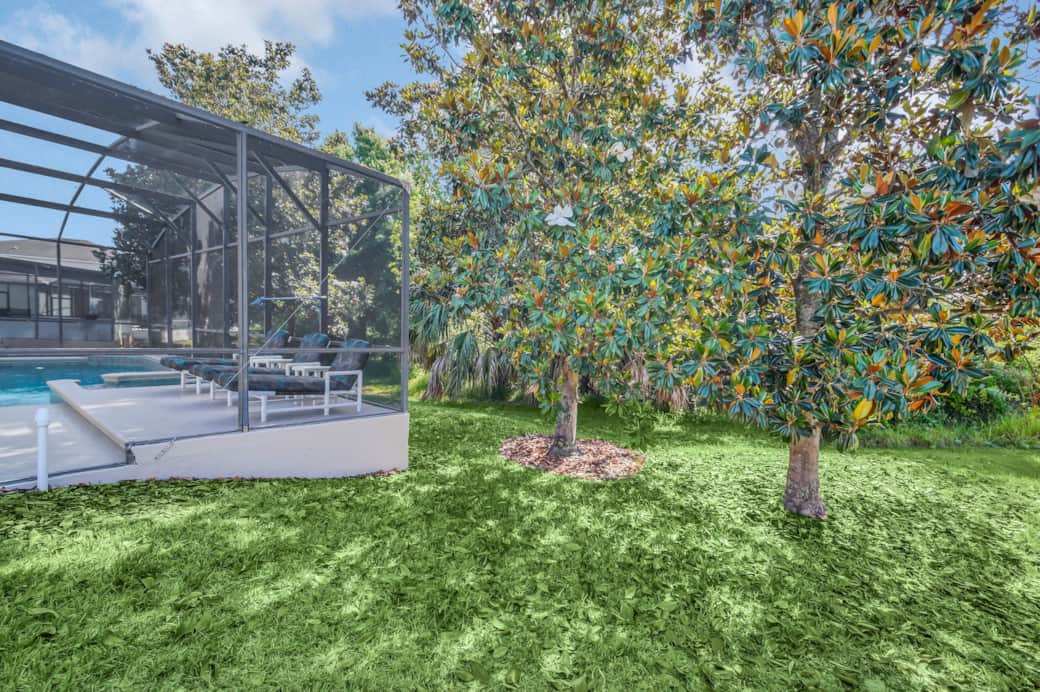 Backyard; on conservation