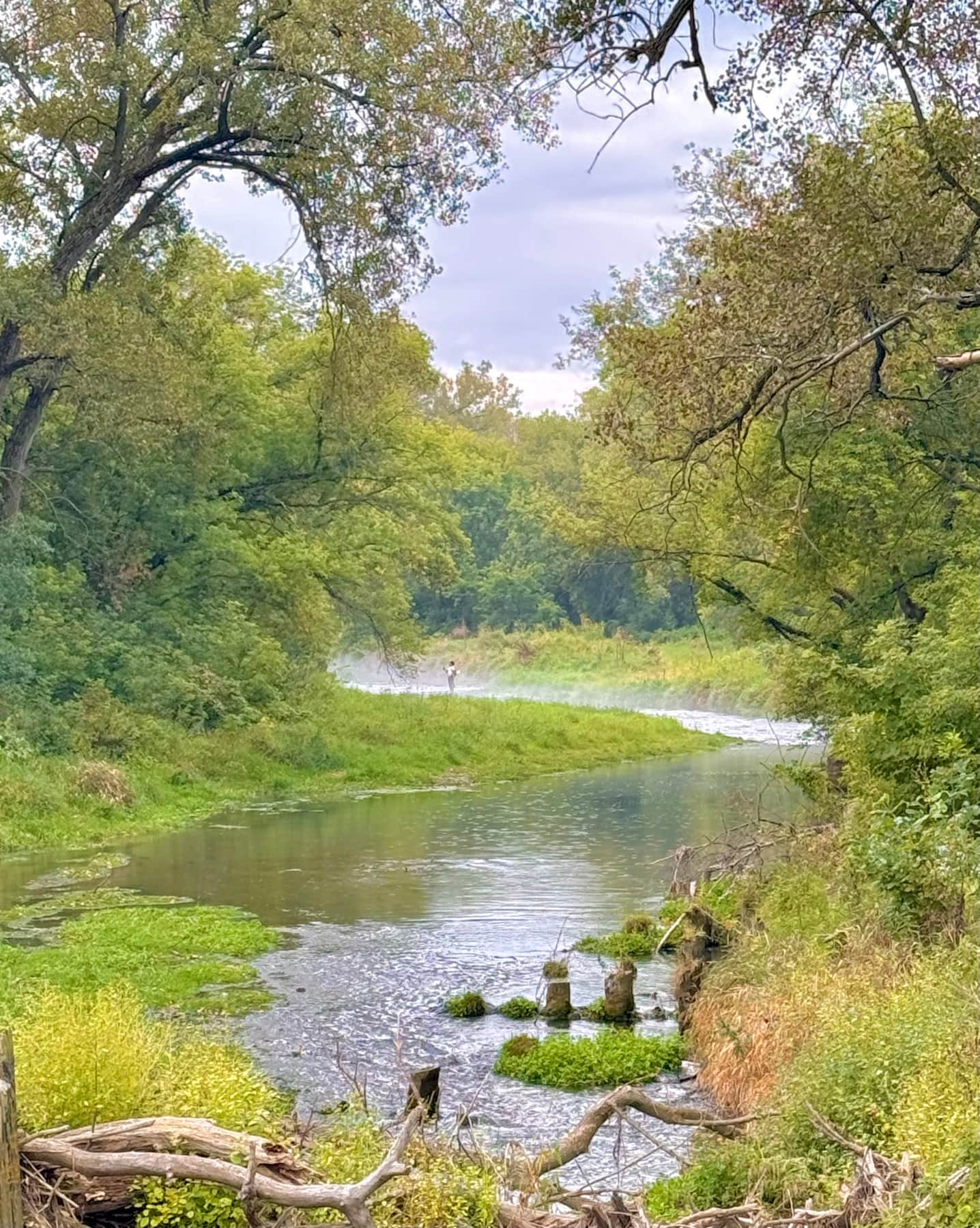 Plenty of flyfishing opportunities while visiting the driftless.