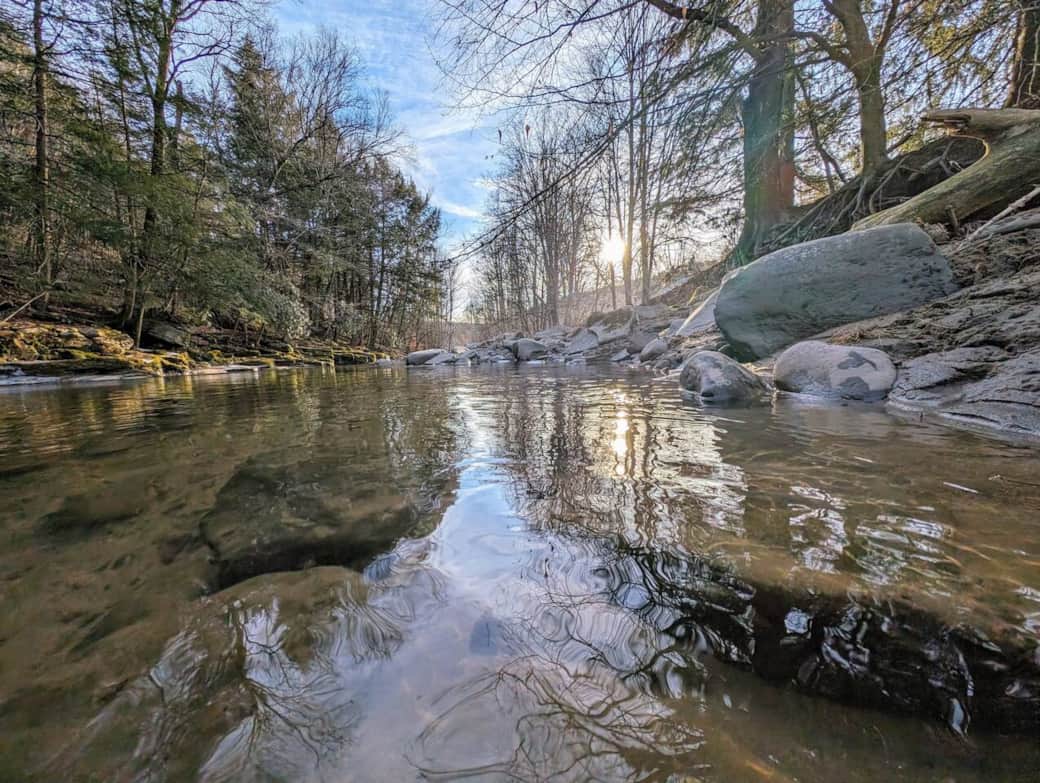 Beautiful Callicoon Creek in the back yard. 