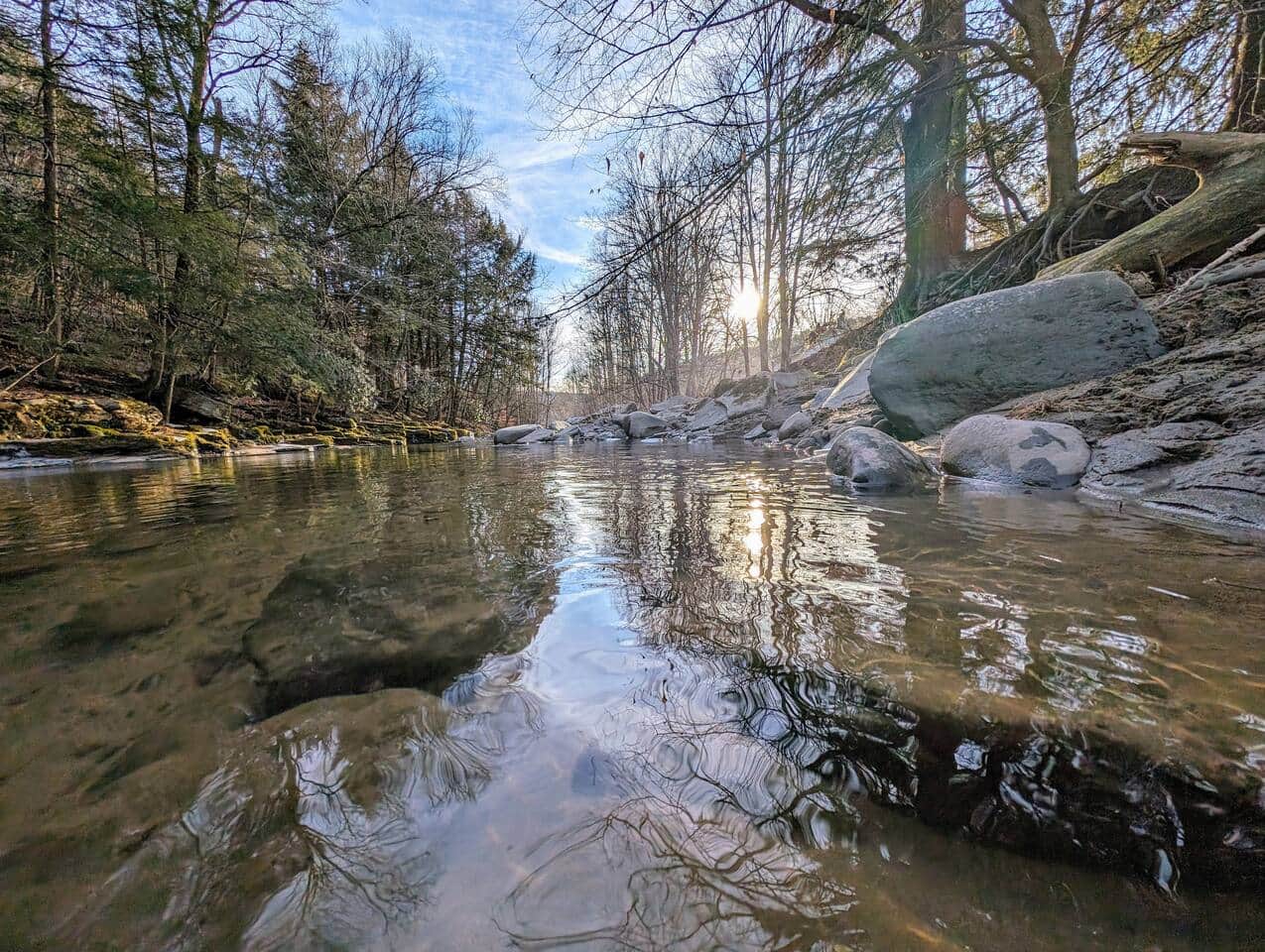 Beautiful Callicoon Creek in the back yard. 