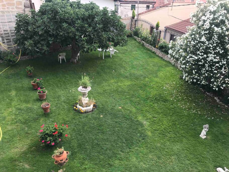 Vistas a jardín