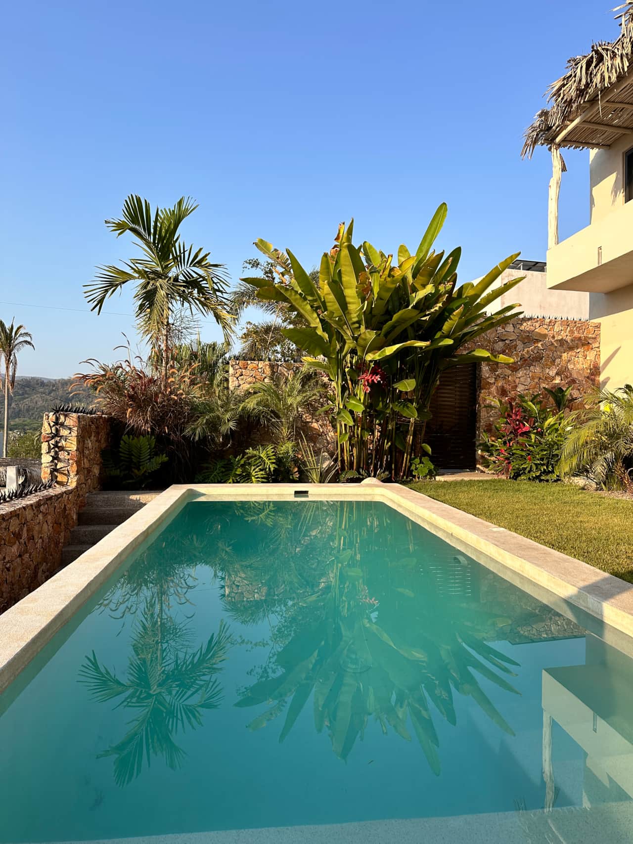 Backyard View