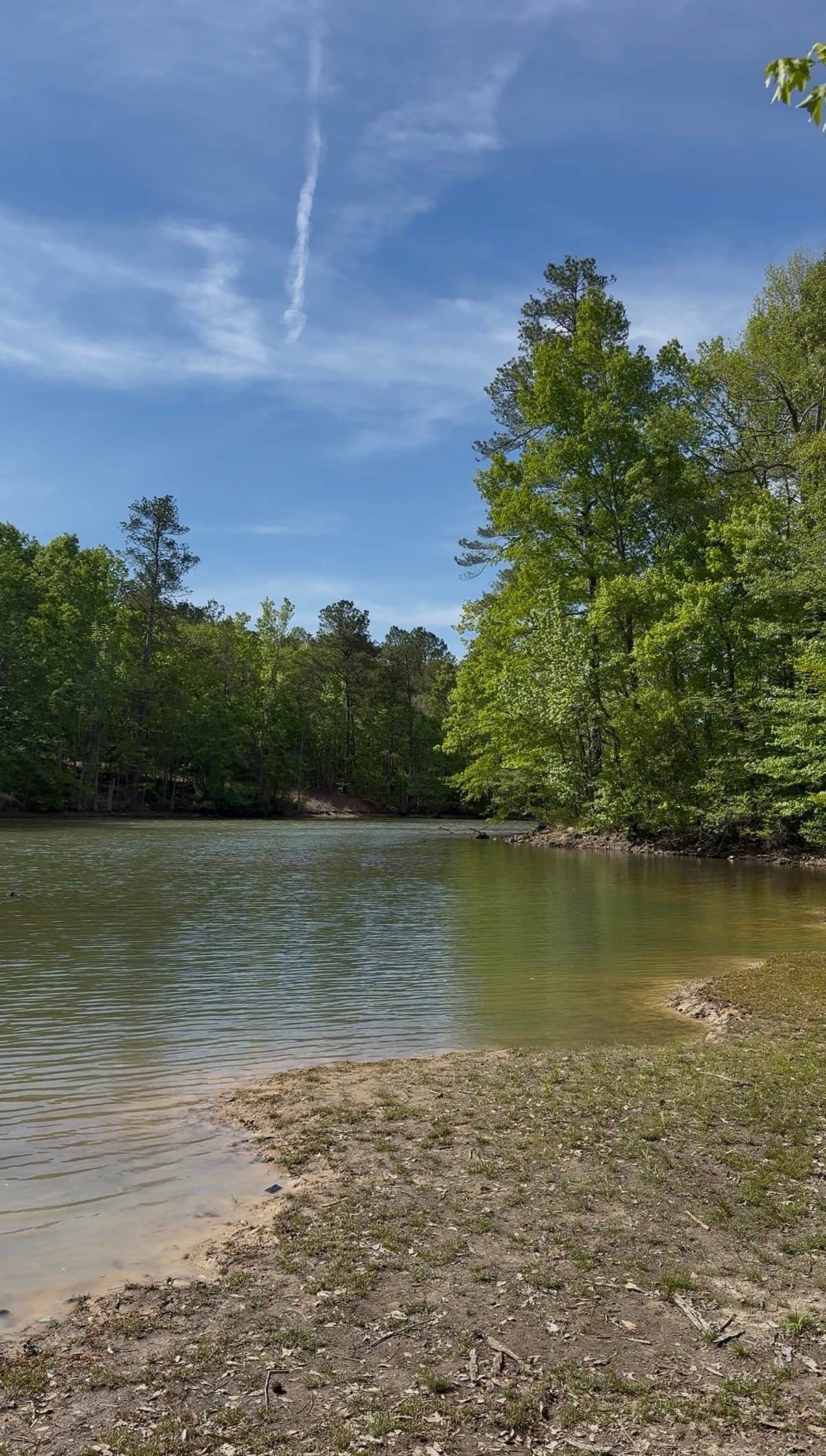 Wooded private trail leading toward Lake Martin access at Auburn Glamping