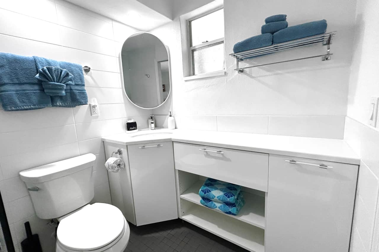 Unit #5 All new bathroom renovation. Plenty of storage space.