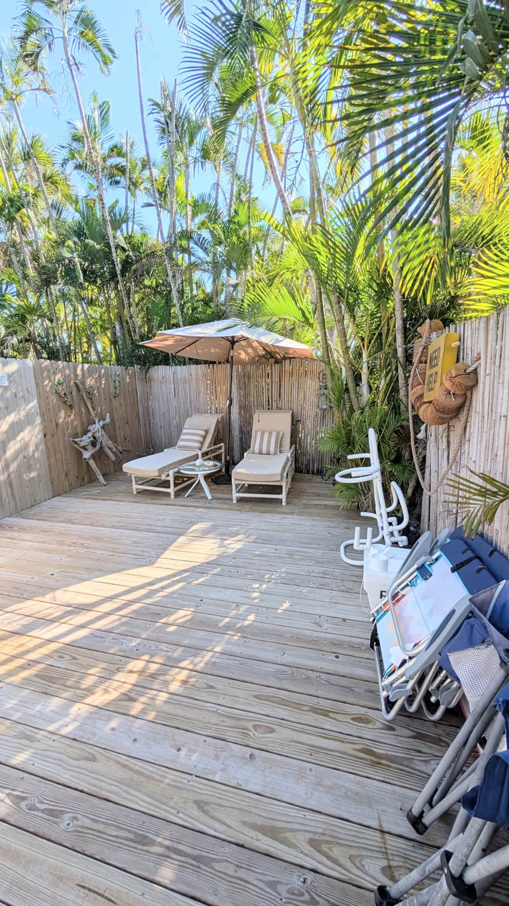 PXL 20251226 184738272.RAW 01