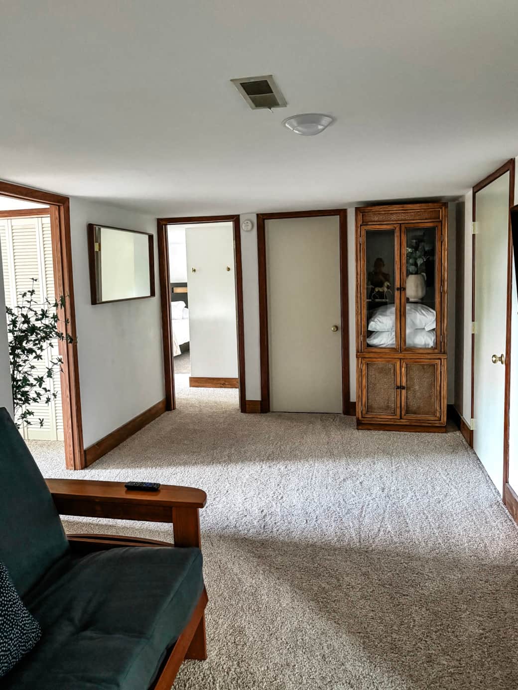 Lower level den