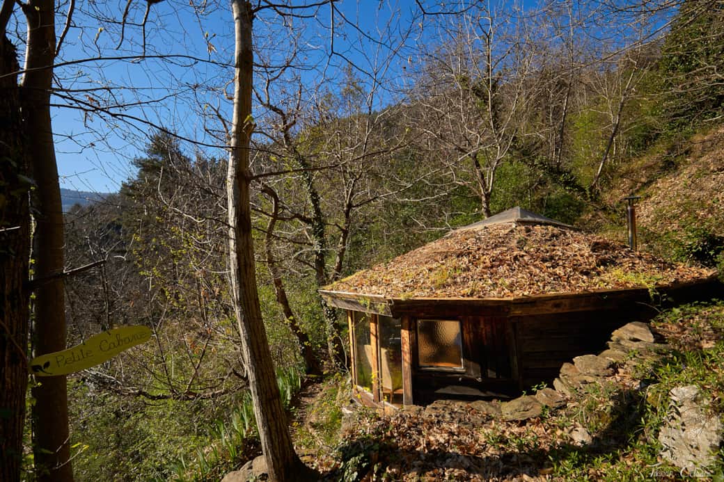 Little Cabin