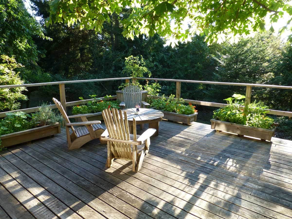 Sunny Deck