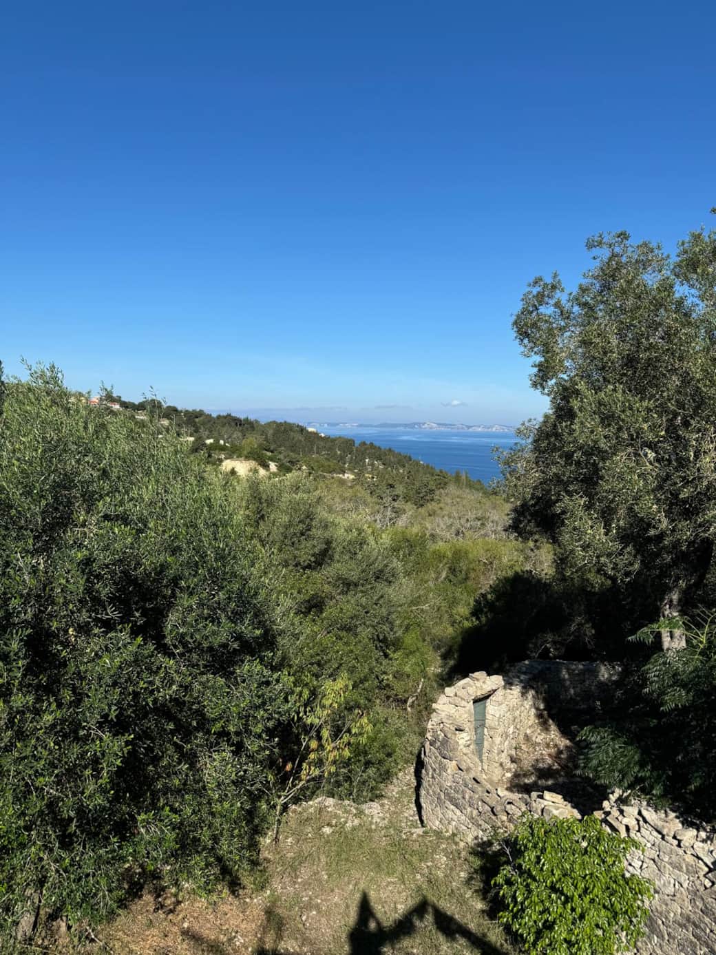 View from Balcony
