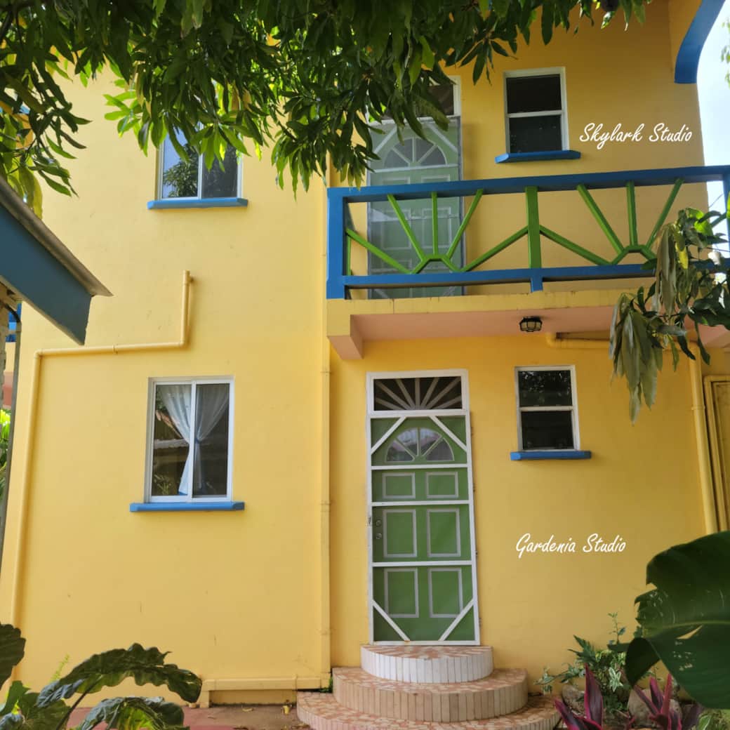 Front of yellow building2